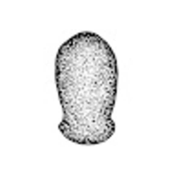 Meet your Posher, Creator - Picture 1 of 1